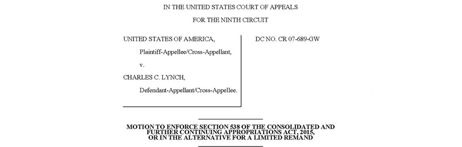 Lynch files Section 538 Motion
